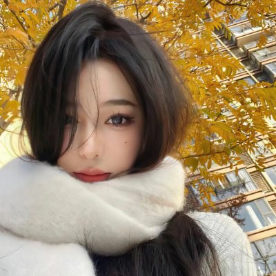 最后的维米尔